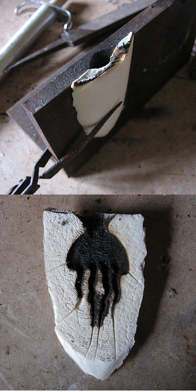 Cuttlefish Cast by harlewood on DeviantArt