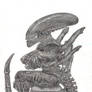 Xeno in an Office Chair