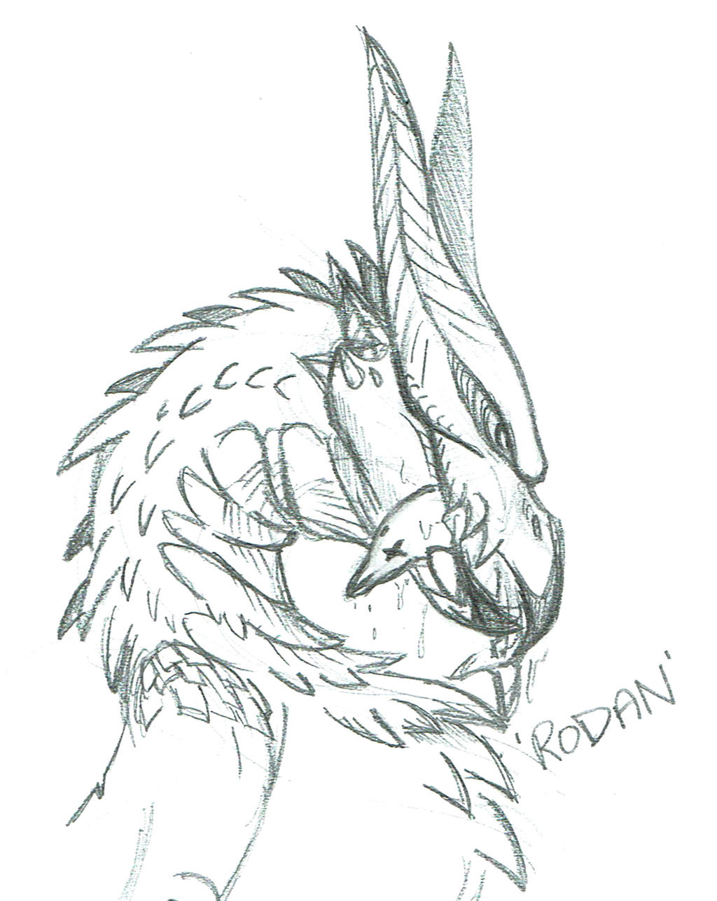 Rodan by YGOdemoron on DeviantArt