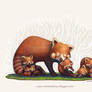 A Good Mom - Red Panda Version