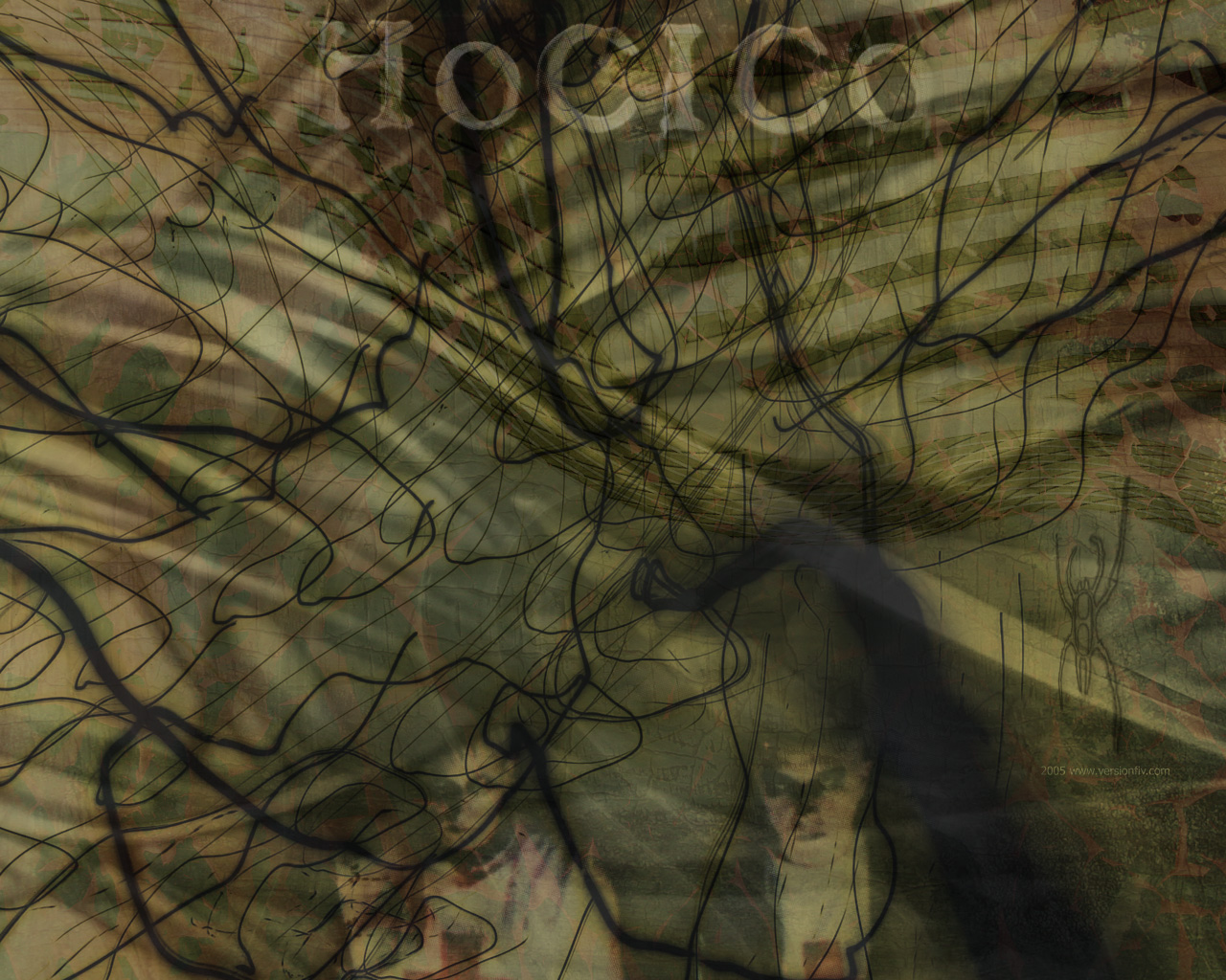 Hocico