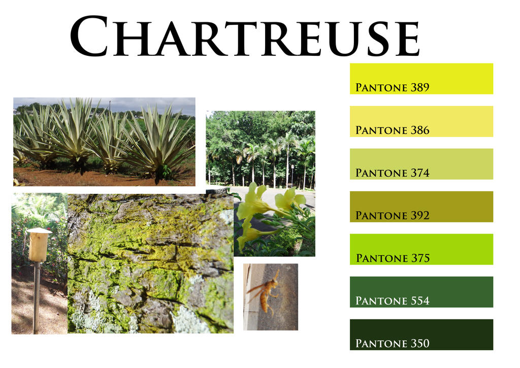 Chartreuse Color Pantone
