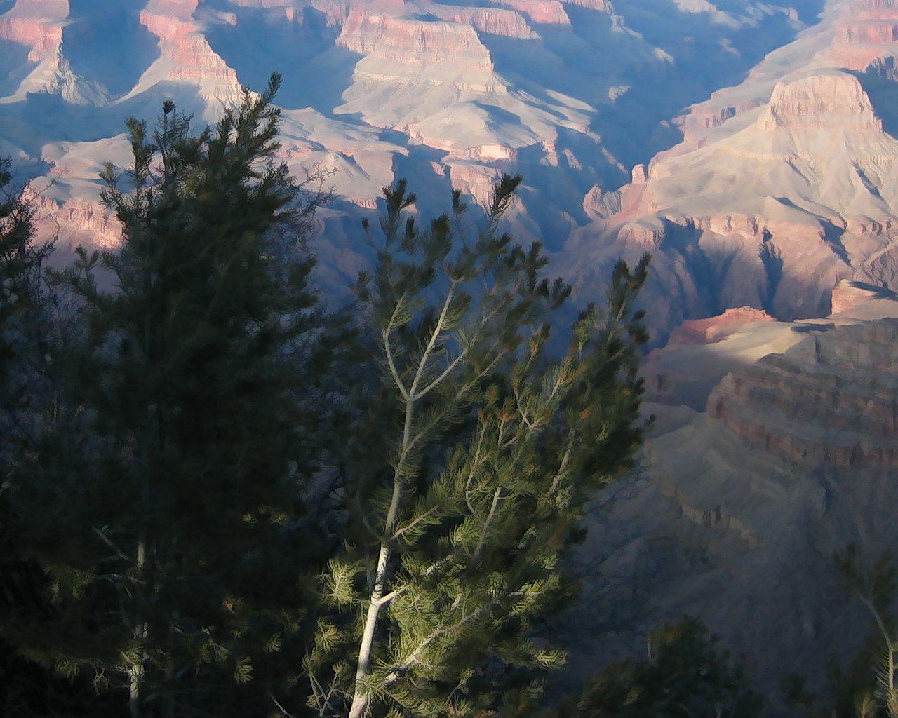 Canyon Clarity