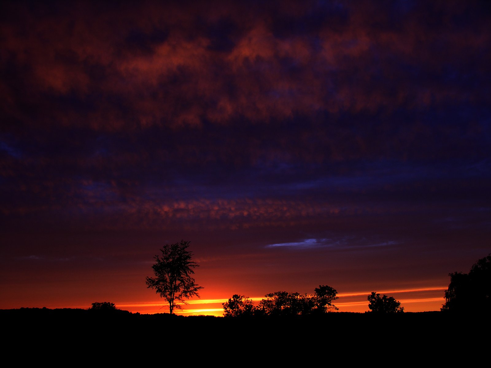 Red Sky At Night