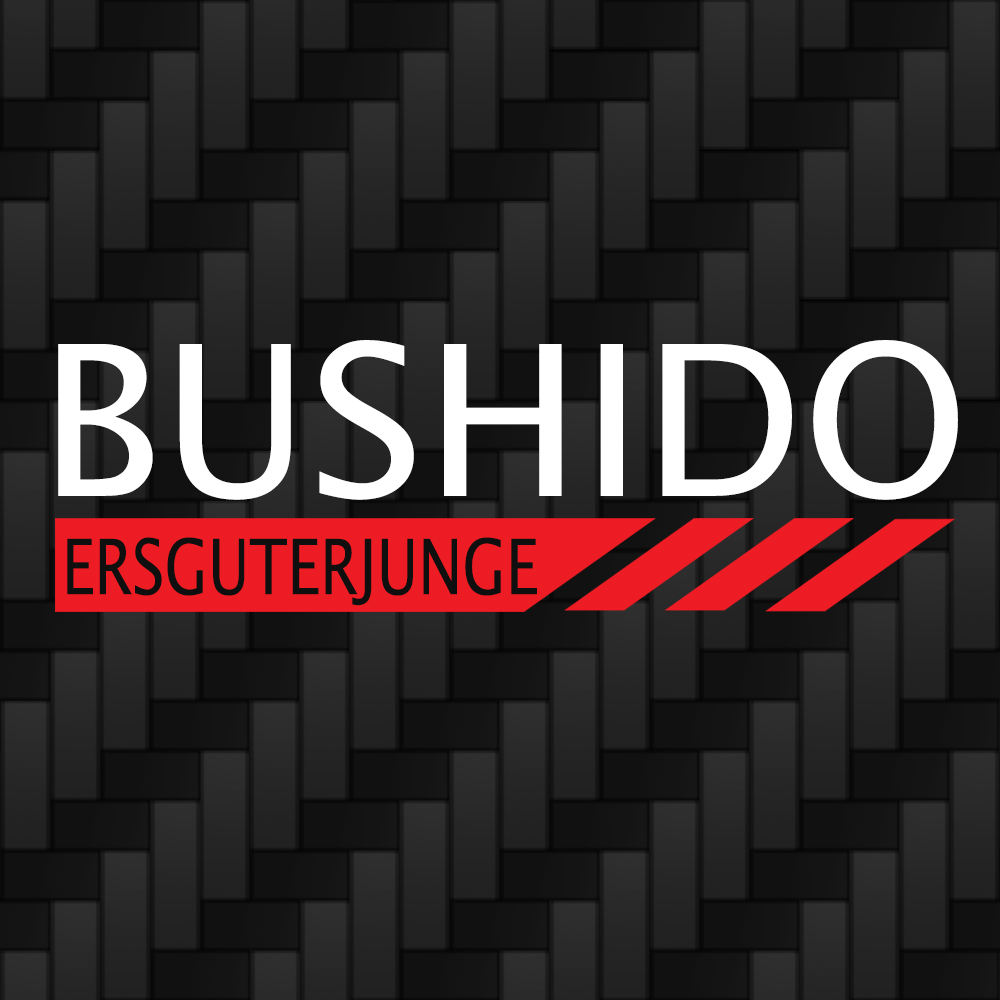Bushido ersguterjunge by SpawnCube on DeviantArt