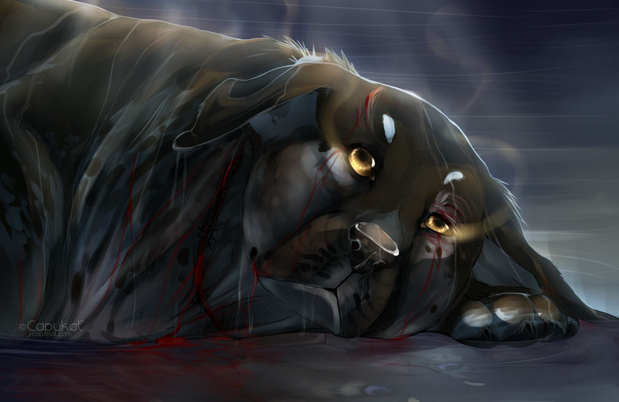 Release by Capukat