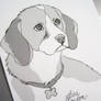 Beagle in screentones