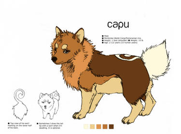 Explore the Best Capukat Art | DeviantArt