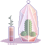 Cactus Glass Terrarium by raionxdesu