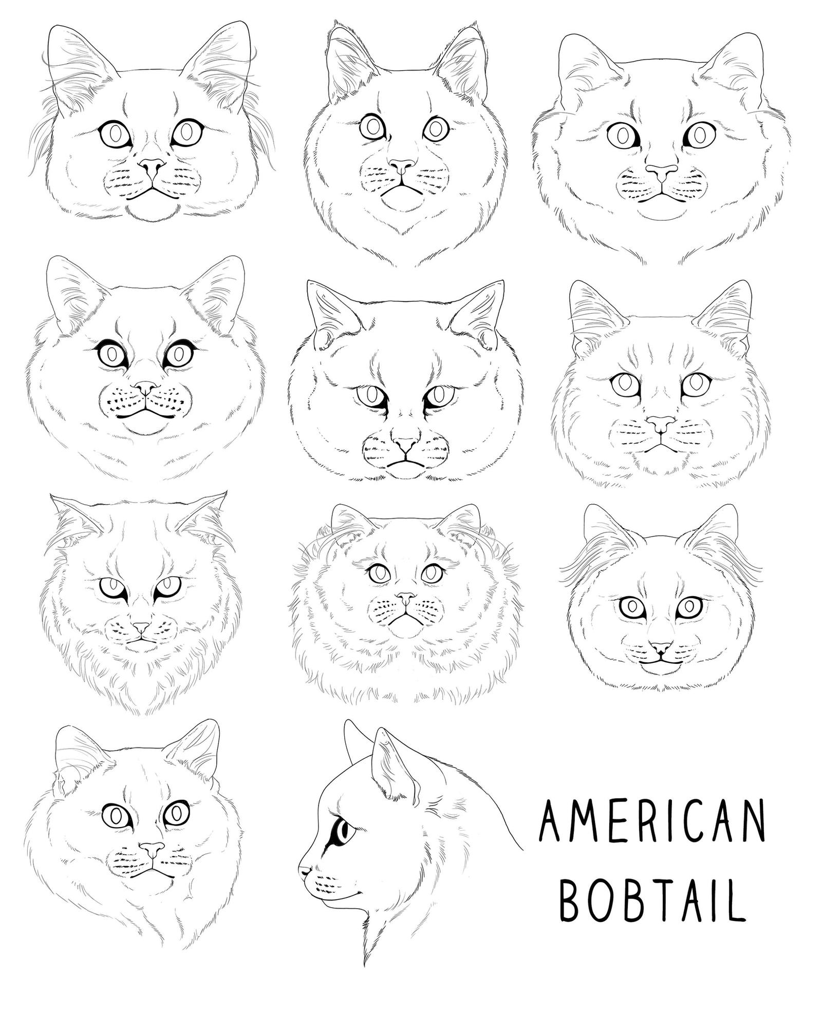 Unity Bobtail Bobtail faces - F2U Bases - Link in description by Whitefeatherink on ...