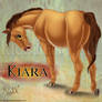 Lion King Horses: Kiara
