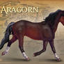 LOTR Horses: Aragorn