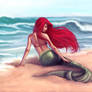 Ariel