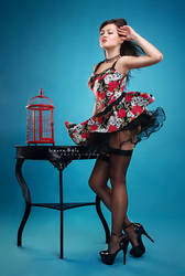 pin-up  beauty 6