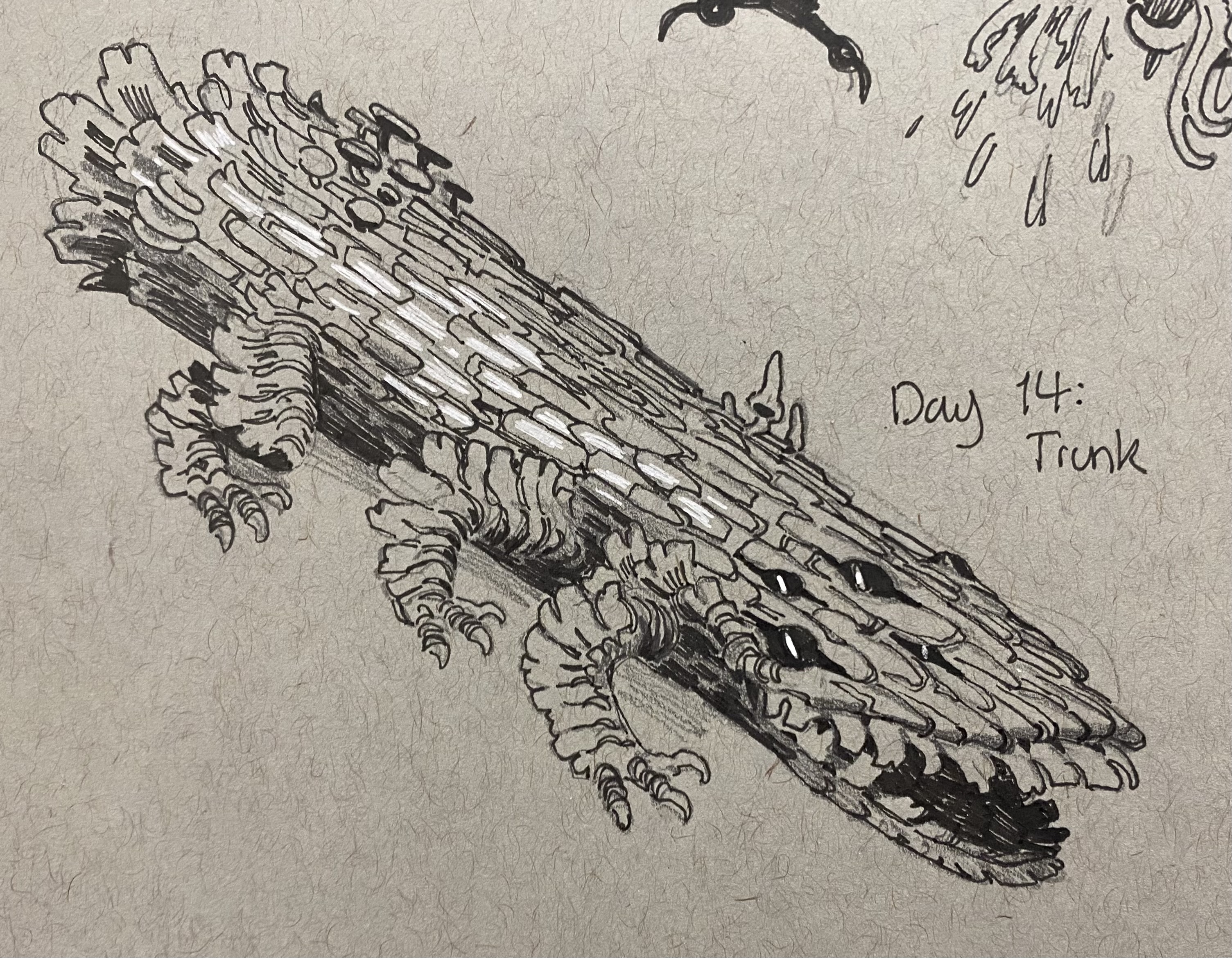 Trunk Inkober Inktober Day 14: Trunk by Adooke on DeviantArt