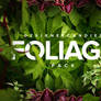 The Foliage Pack