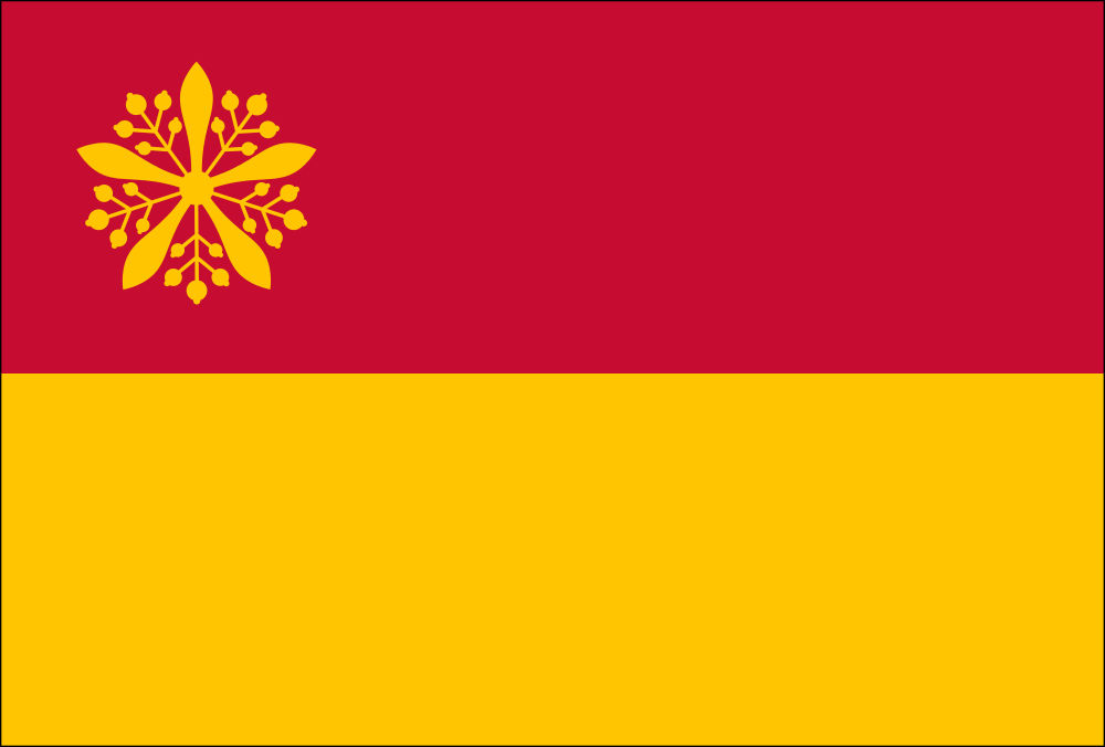 Flag Of Manchuria By Dain Siegfried On DeviantArt flag-of-manchuria-by-dain-siegfried-on-deviantart
