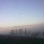 fog clouds 2