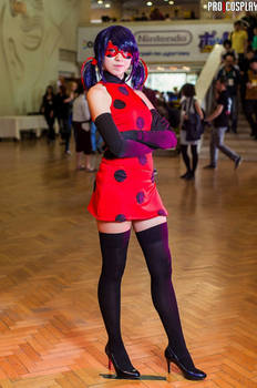 Miraculous LadyBug