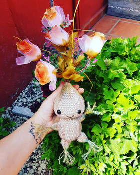 Baby mandrake amigurumi 