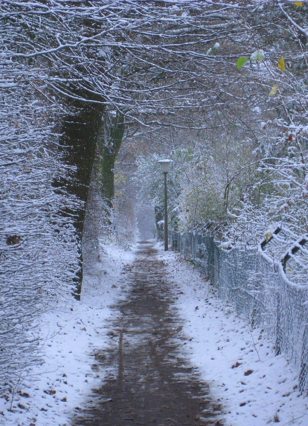 Snow Path by RecentSnowfall on DeviantArt