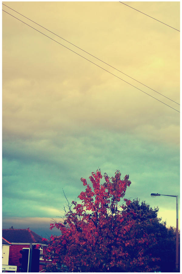 Autumn Sky