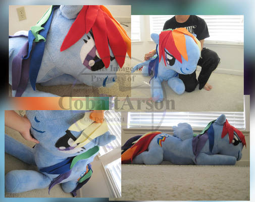 Giant RD Plushie :D