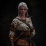 Cirilla (The Witcher 3 Wild Hunt).