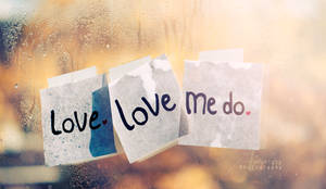 Love, love me do