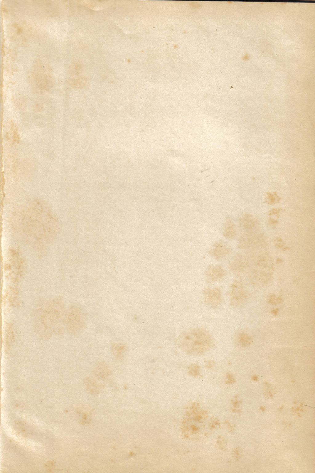 Old Paper Texture by caminopalmero