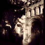 Black Shadows....