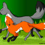 Foxes Running