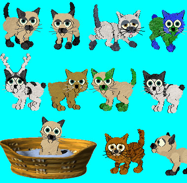 free cat adopts