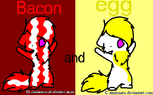 bacon and egg cats