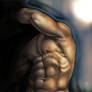 Anatomy