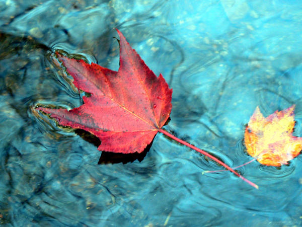 Floating Fall by Kenzd01 on DeviantArt