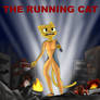 The Running Cat