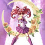 Sailor Chibi Moon