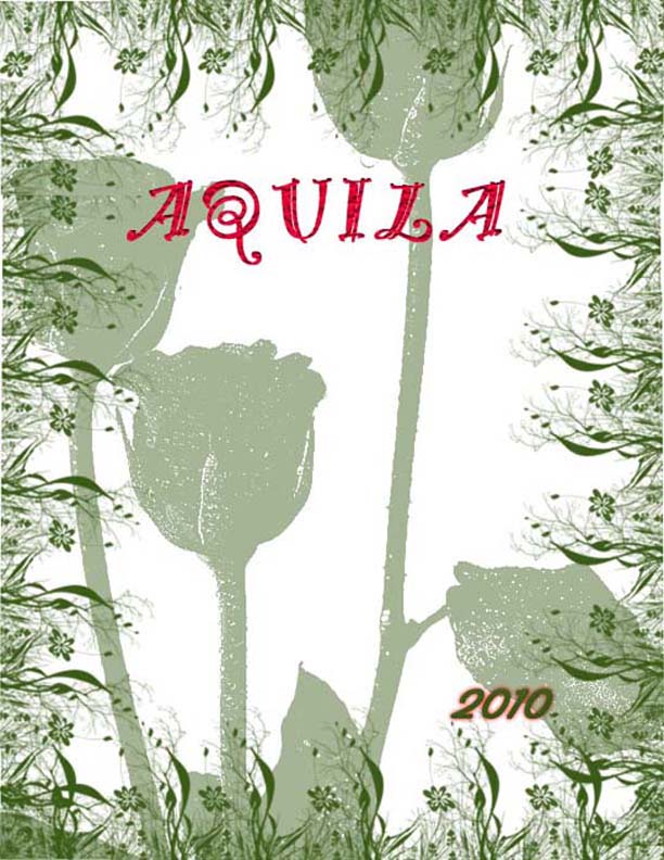 Aquila Cover