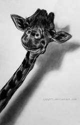 Giraffe drawing