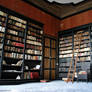 Abandoned library