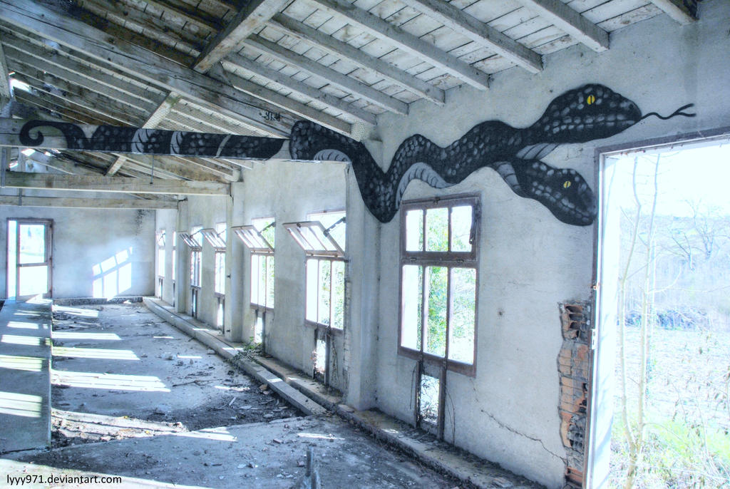Snake - Street art