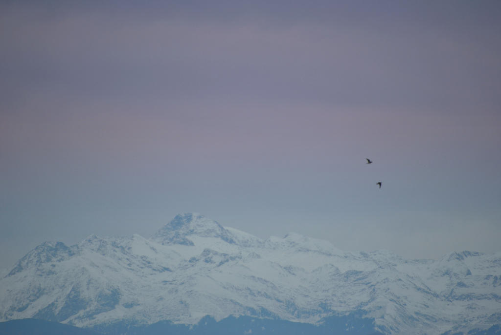 Mountains