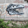 Skull - Street Art