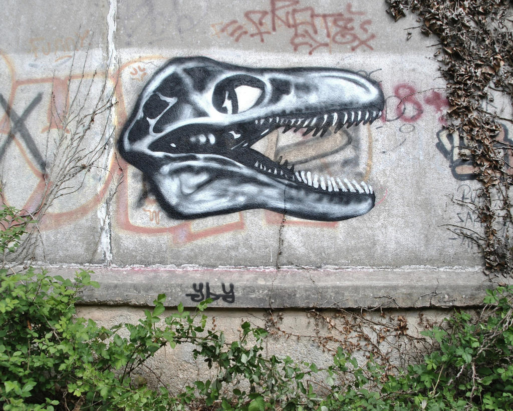 Skull - Street Art