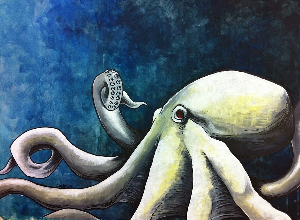 Albino_Octopus