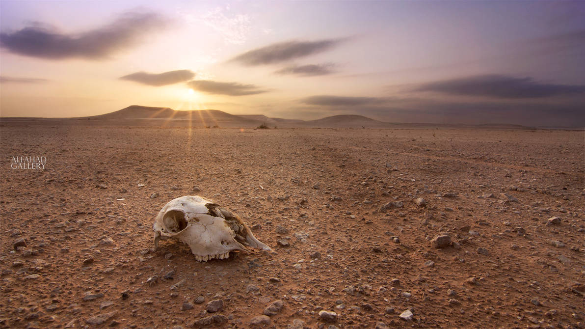 in the middle of nowhere by alfahd on DeviantArt in the middle of nowhere by alfahd on DeviantArt