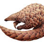 Pangolin, finished