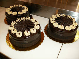 Moonlight Expresso Cakes