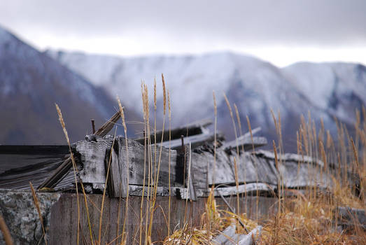 Dutch Harbor